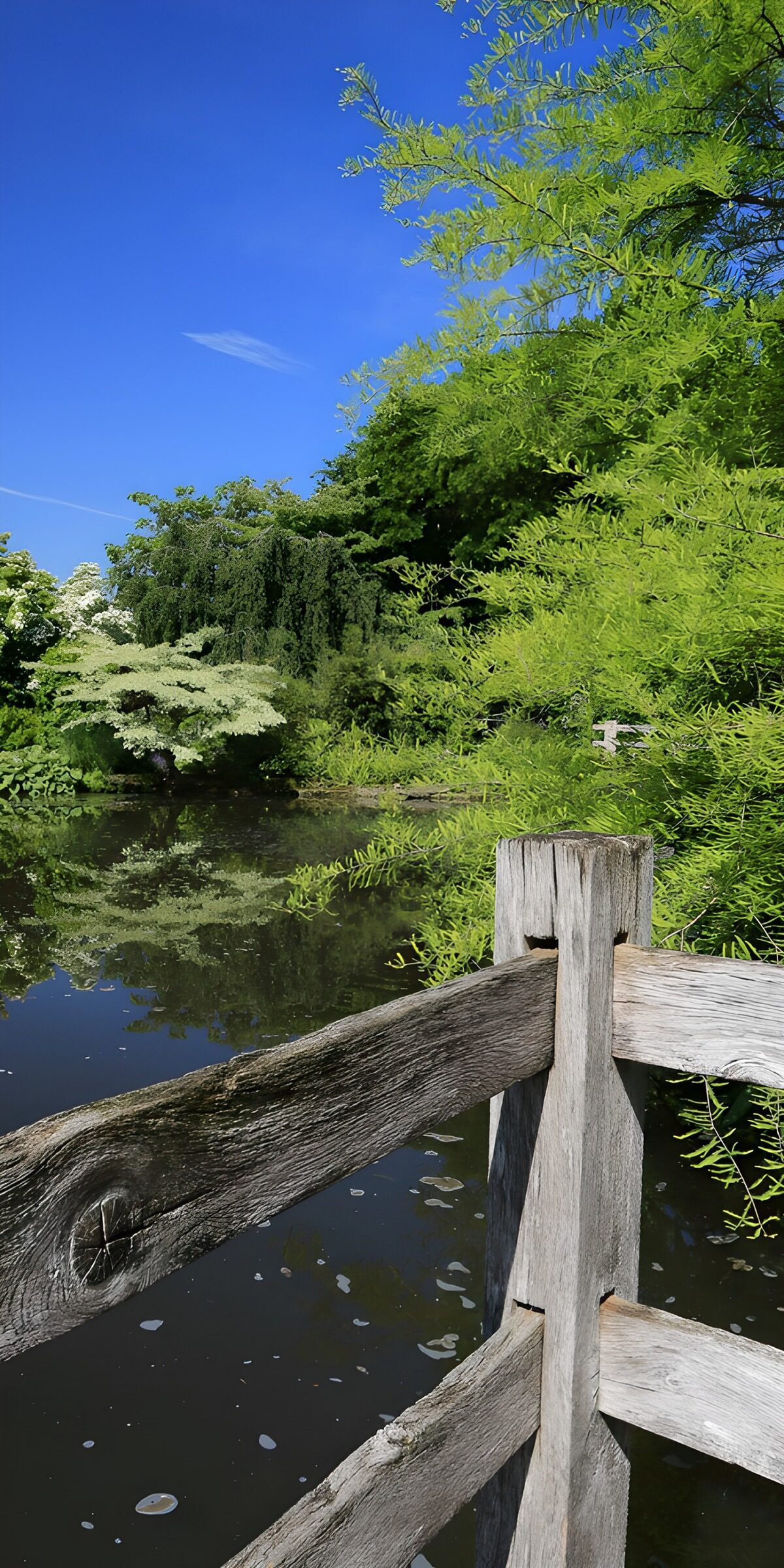 CW8820048: Rustige tuin aan het water