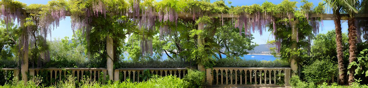 Prachtige Pergola met Bloeiende Wisteria