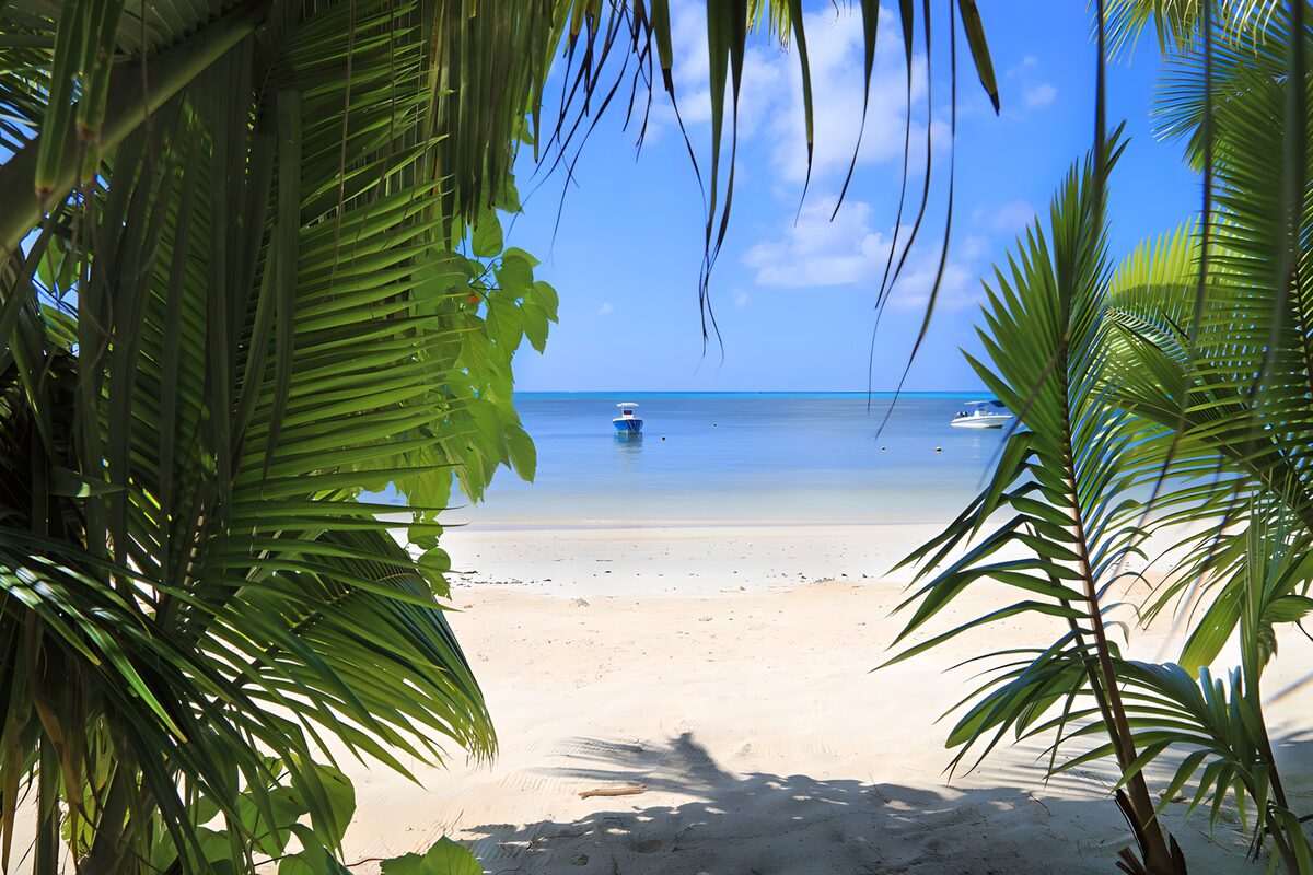 Tropisch strand met groene palmen