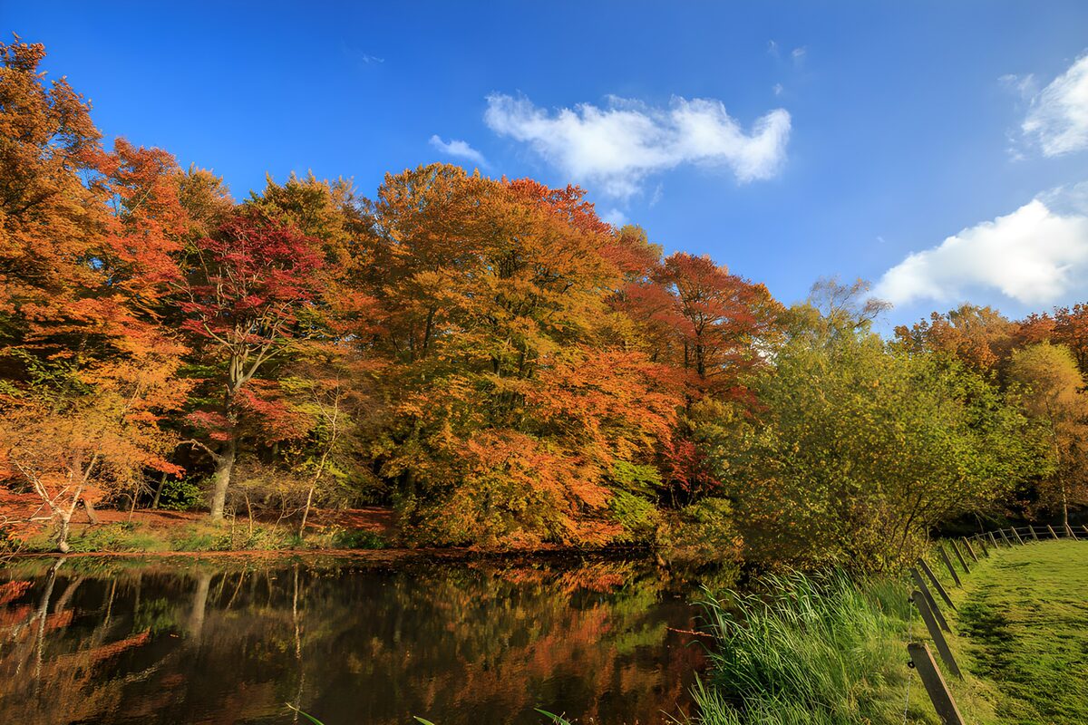 Herfstkleuren langs de waterkant