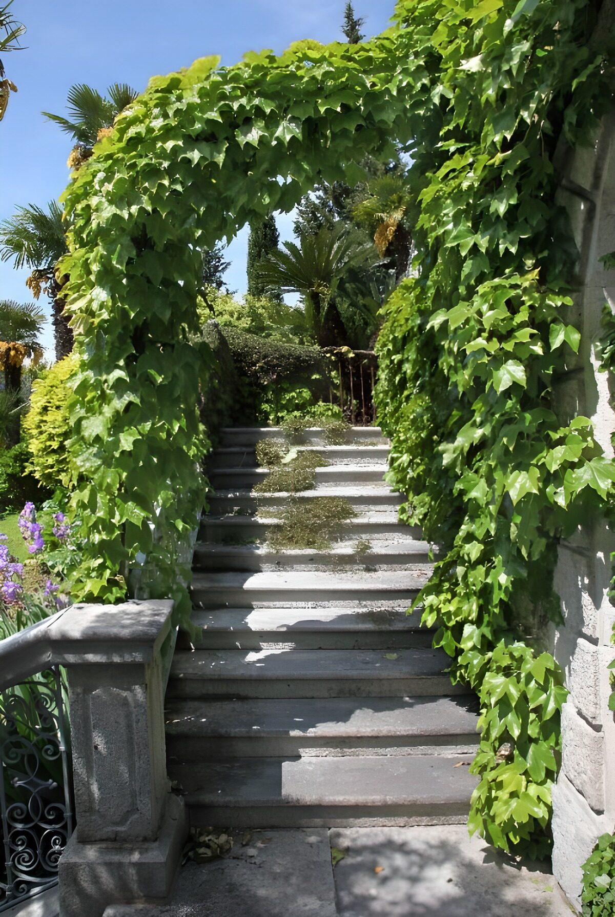 CW3940995: Groene boog over stenen trap
