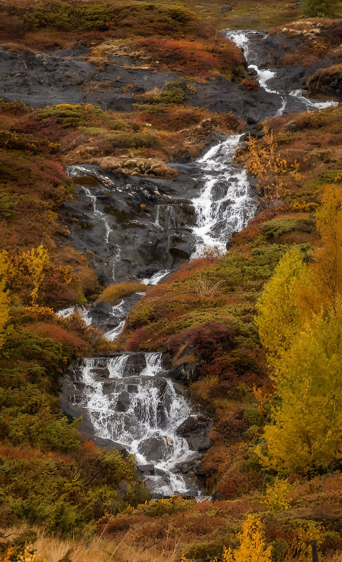 Waterval in een herfstlandschap