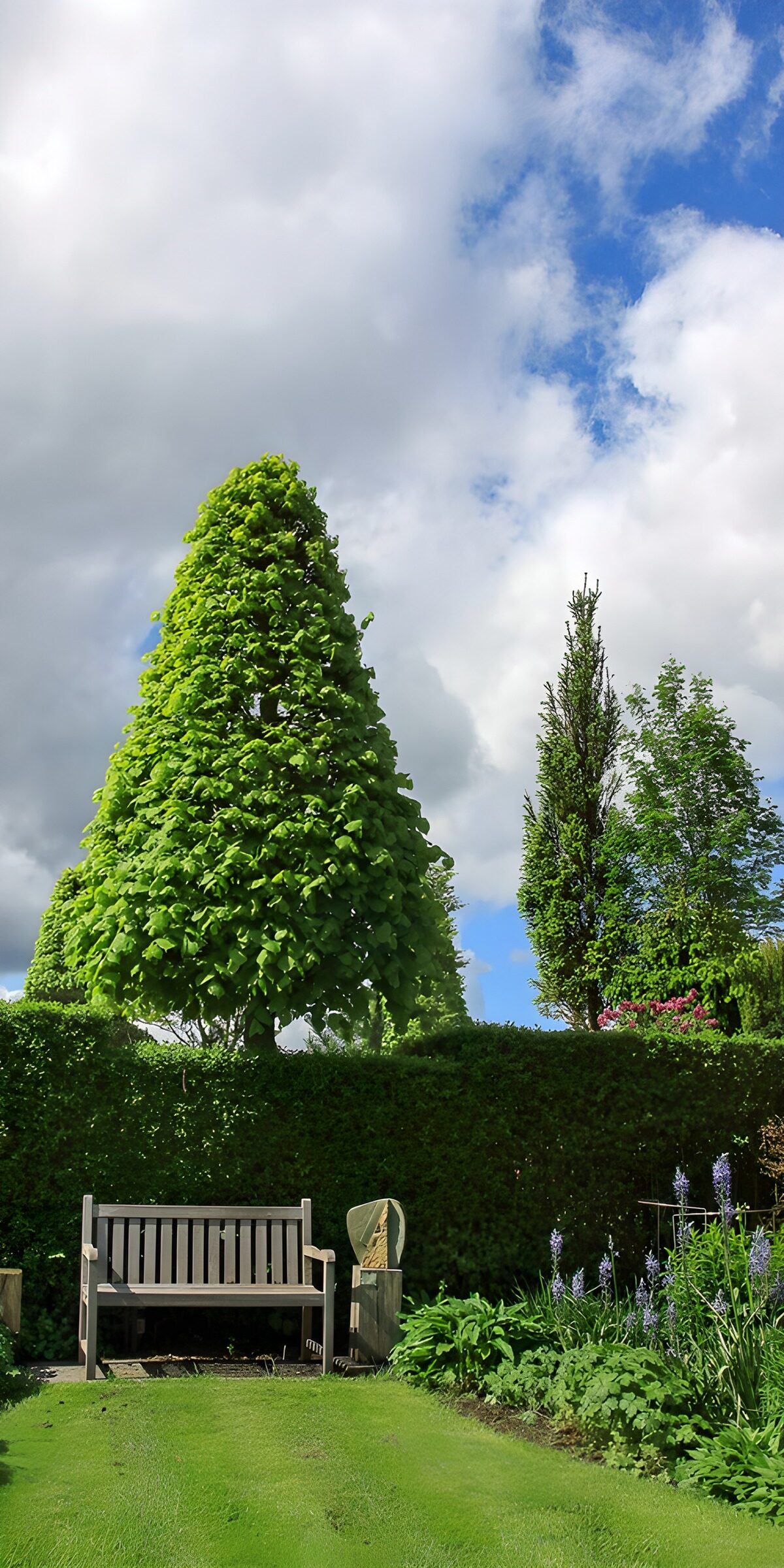 CW2861765: Groene tuin met houten bankje