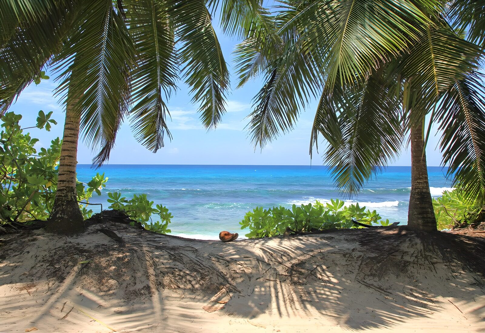 CW6877167: Ontspannen vakantie aan het strand
