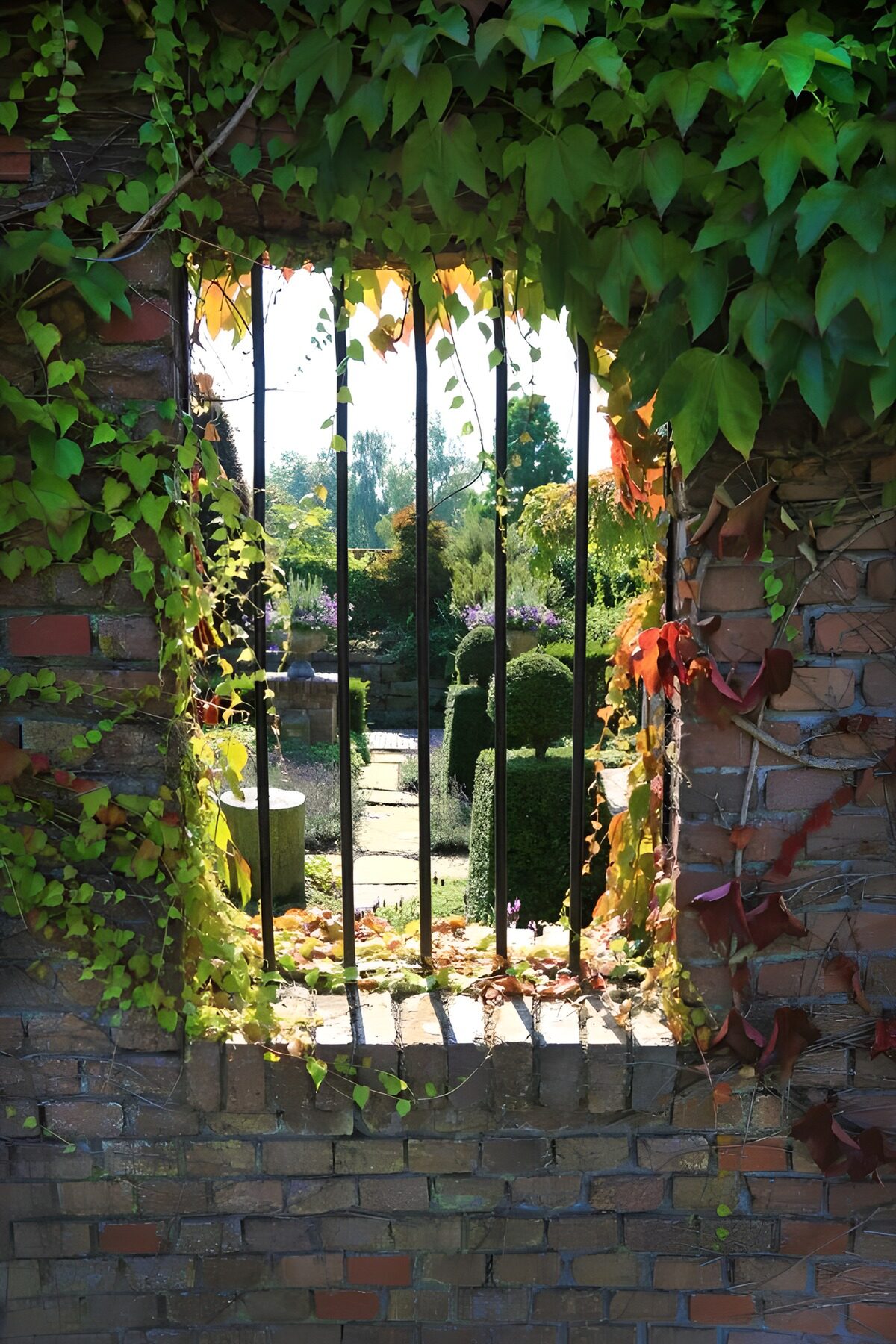 Groene Overgang door een Muur