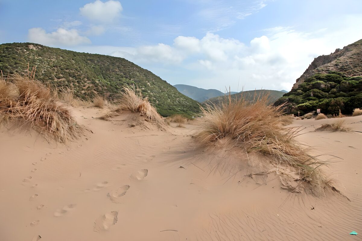 CW4217585: Zandduinen met Voetafdrukken