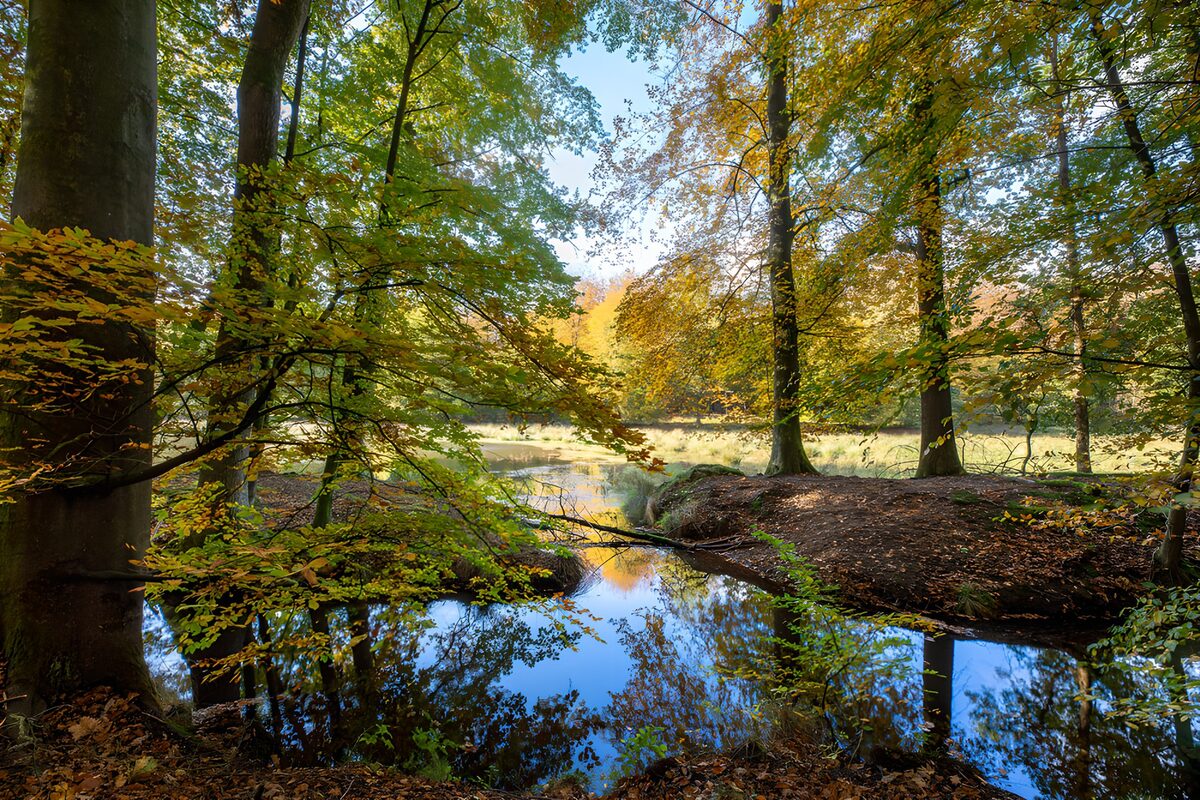Herfstlandschap met spiegelend water