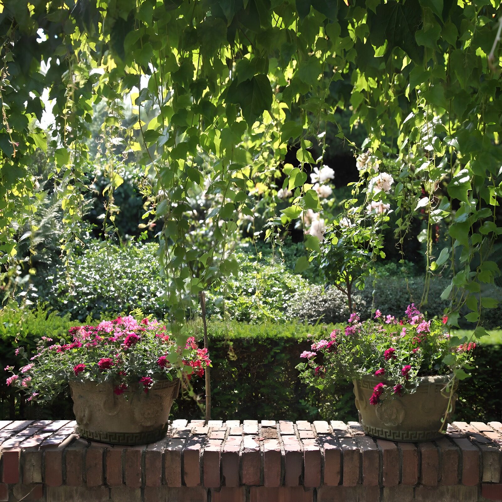 CW6068489: Bloementuin met groene achtergrond