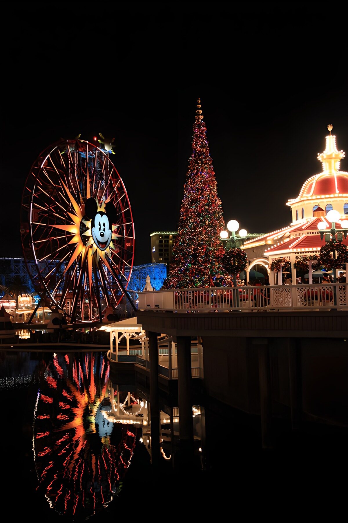 CW8719278: Feestelijke Nacht in het Pretpark