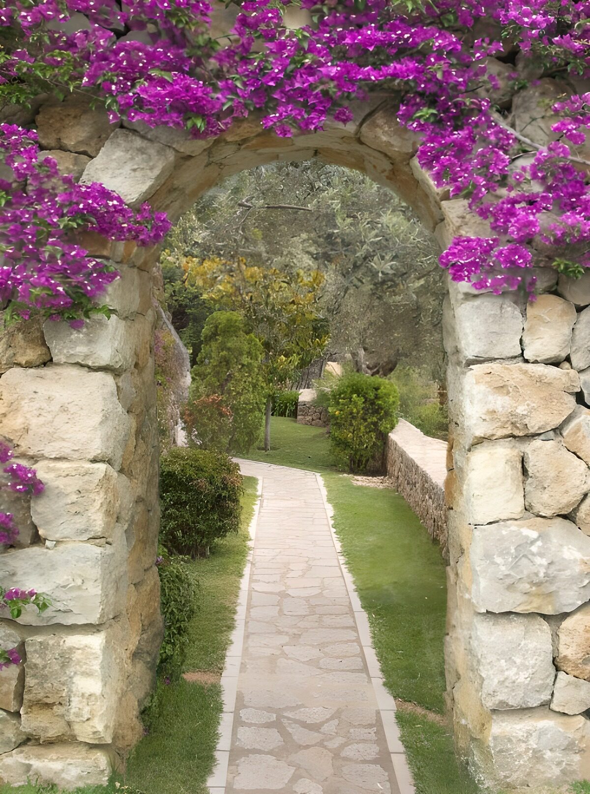 CW7976965: Prachtige Poort met Purperen Bloemen