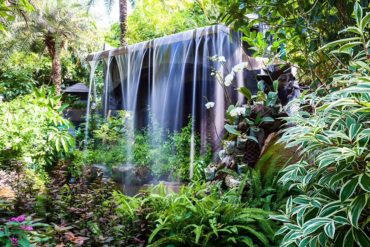 Rustige waterval omgeven door tropische flora