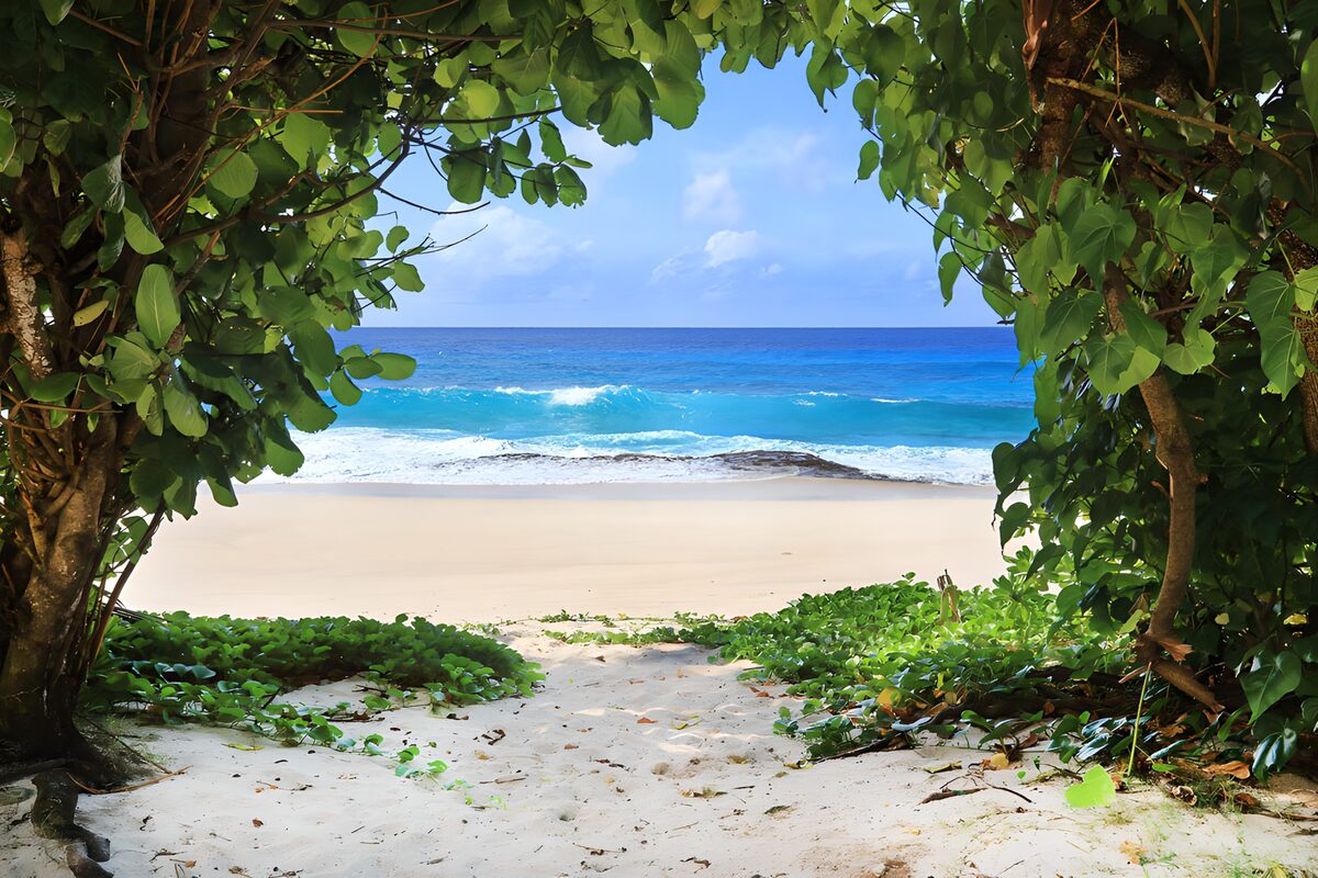 Prachtig uitzicht op tropisch strand