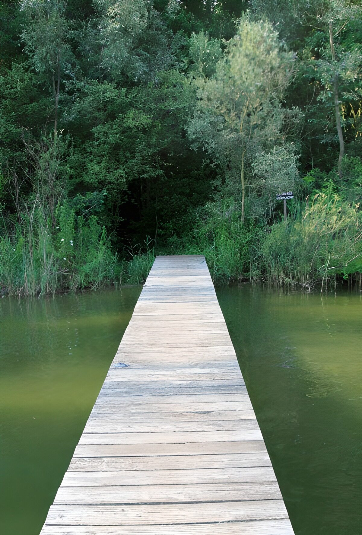 Houten steiger aan het water