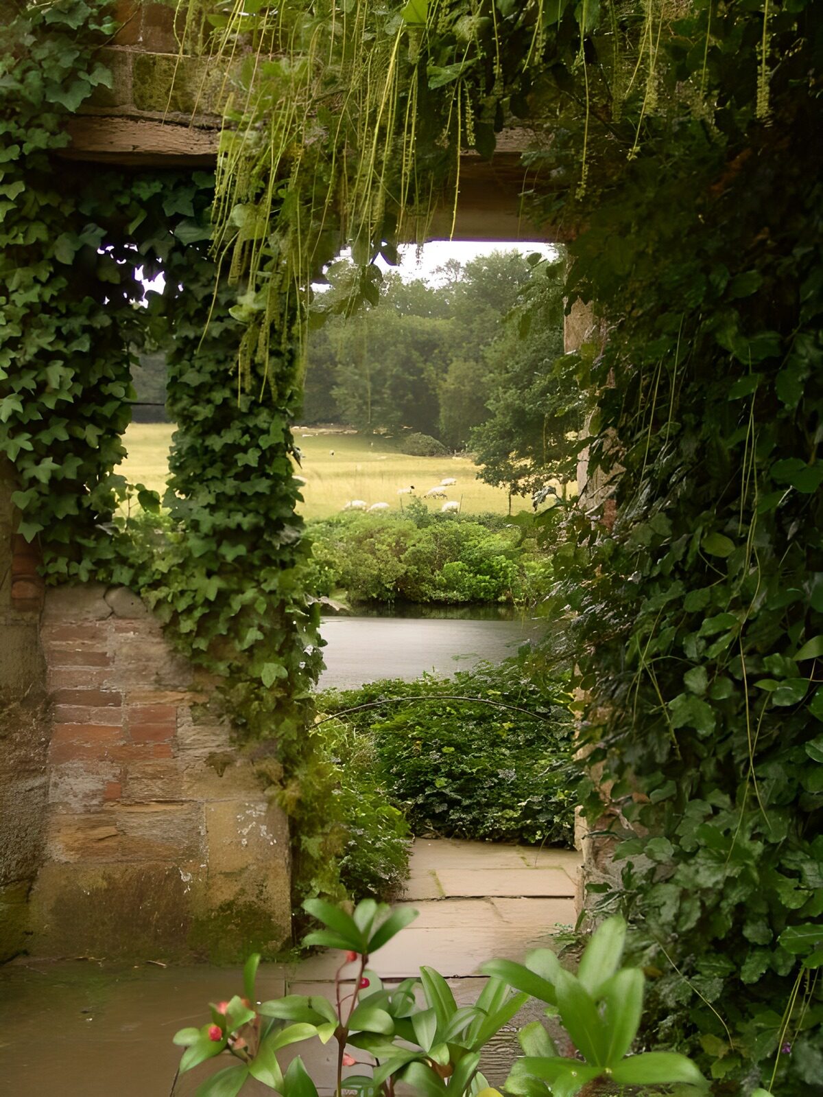 CW7898751: Doorzicht op natuur door een oude boog