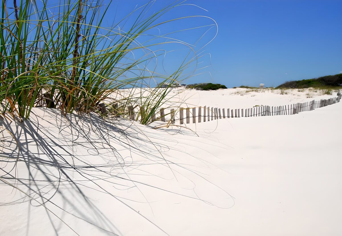 Rustige duinen onder een heldere lucht