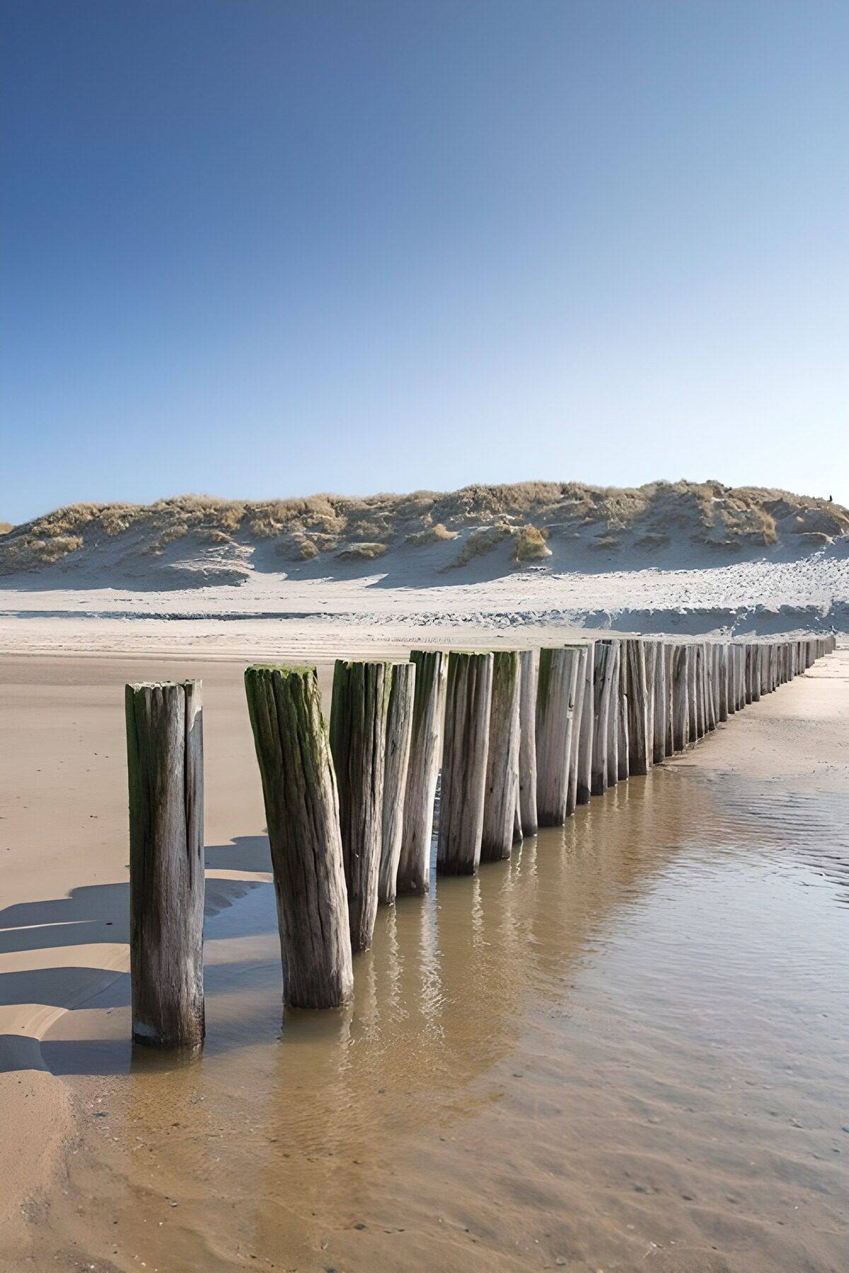 Houten palen aan het strand