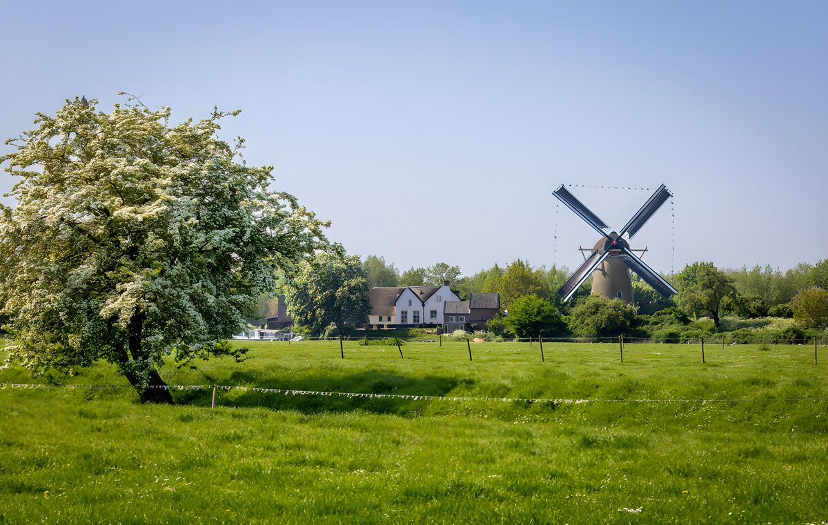 CW6855502: Pittoresk Landschap met Windmolen