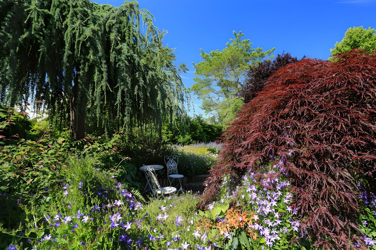 Prachtige tuin met bloemen en een zitje
