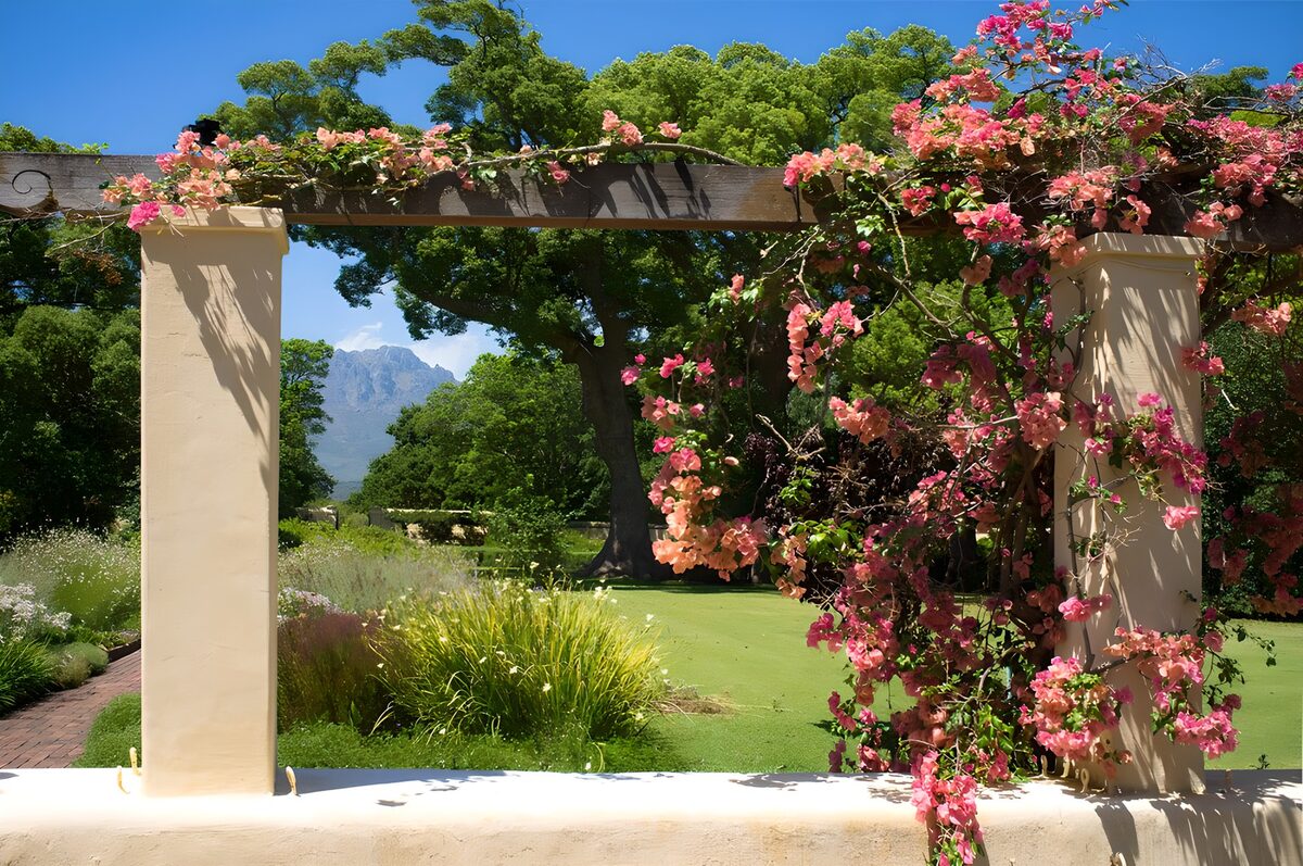 Bloeiende pergola in rustige tuin