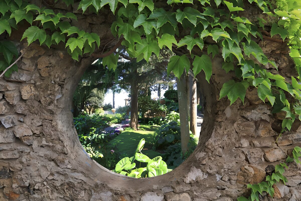 CW3764556: Een blik op de groene tuin