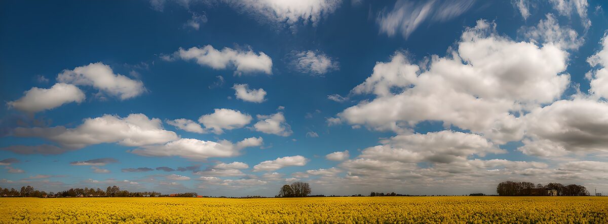 CW4548159: Zonnige Lenteweide onder Wolken