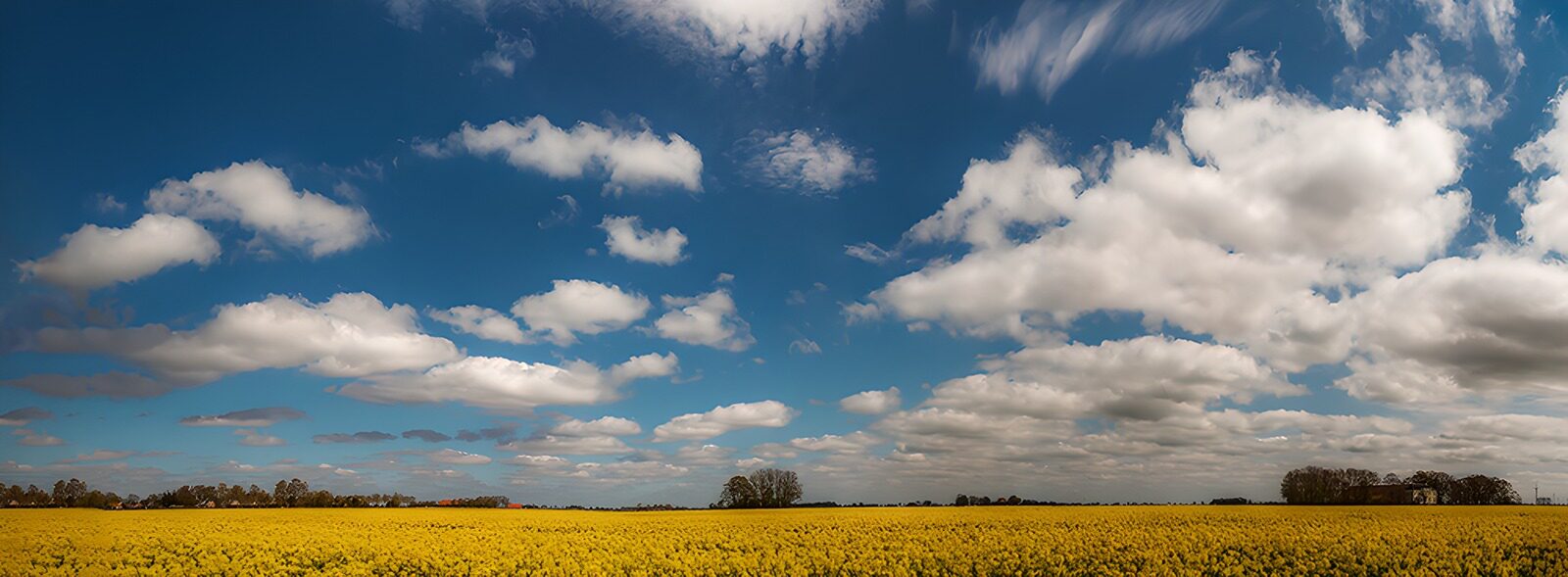 CW4548159: Zonnige Lenteweide onder Wolken