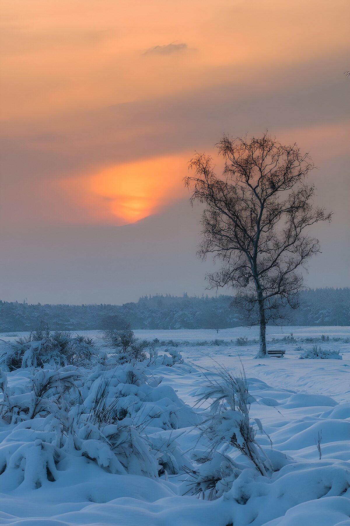 Betoverende Winterzonsondergang