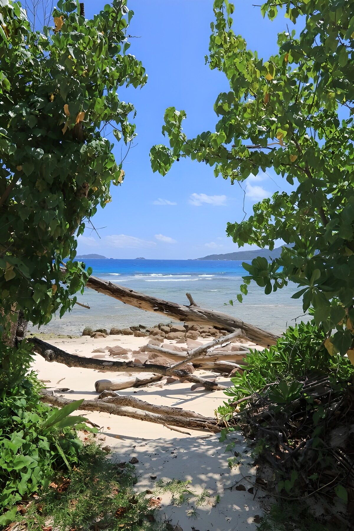 Uitzicht op een tropisch strand