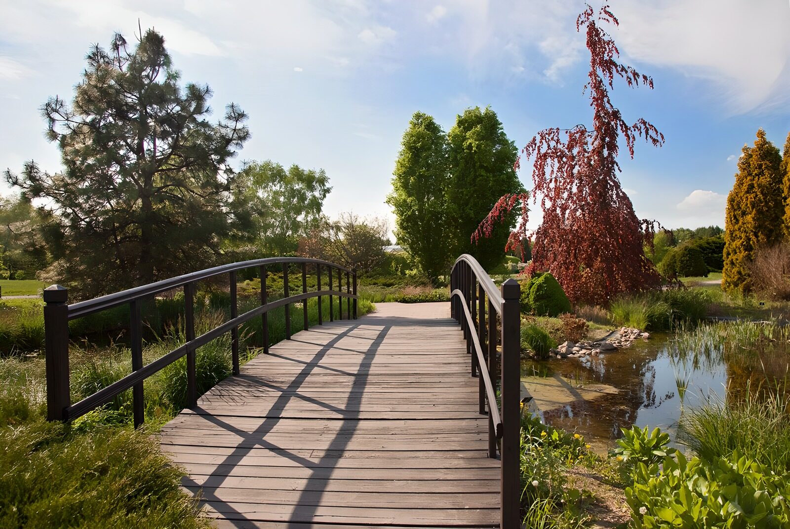 CW8526628: Rustige brug in een tuinlandschap