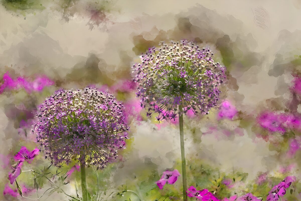 Prachtige paarse bloemen in de lente