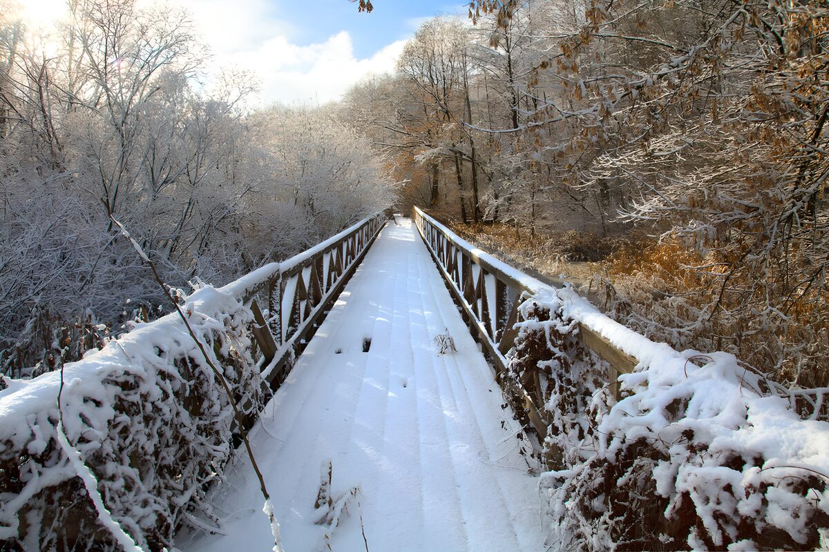 Sneeuwbedekte brug in serene natuur