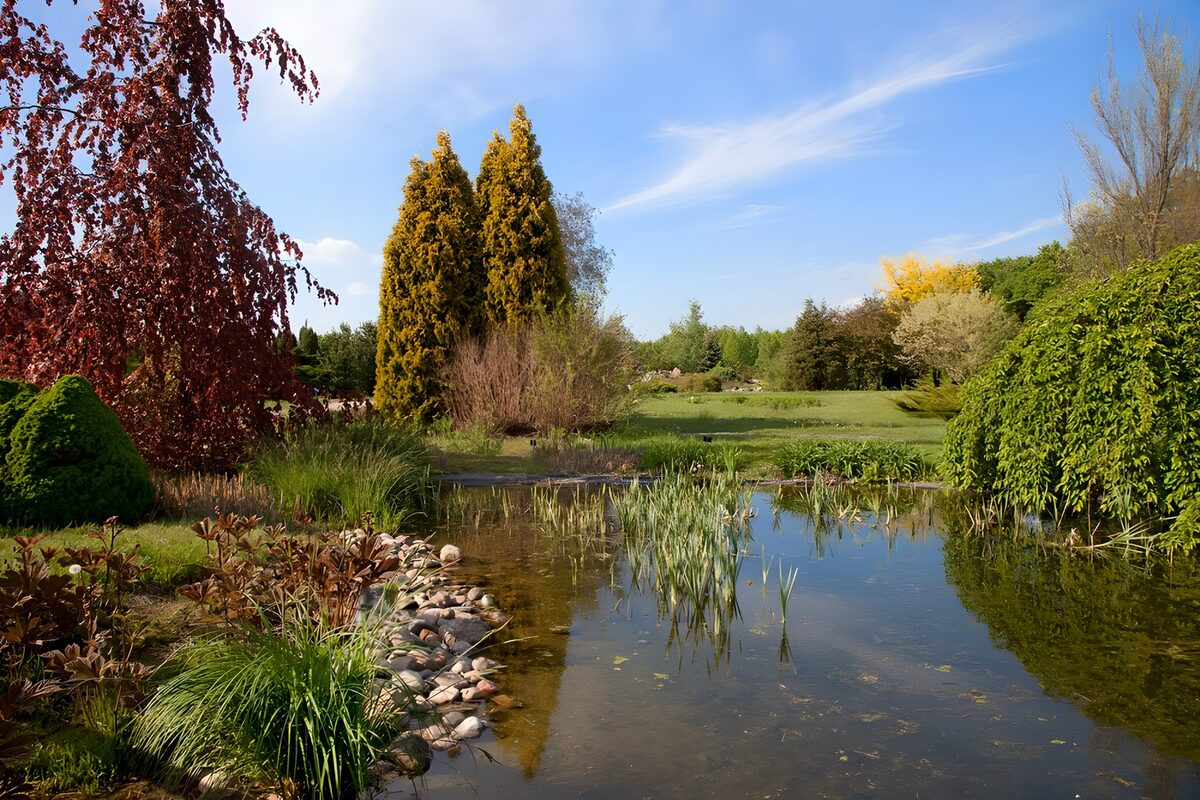 Rustig tuinlandschap met vijver