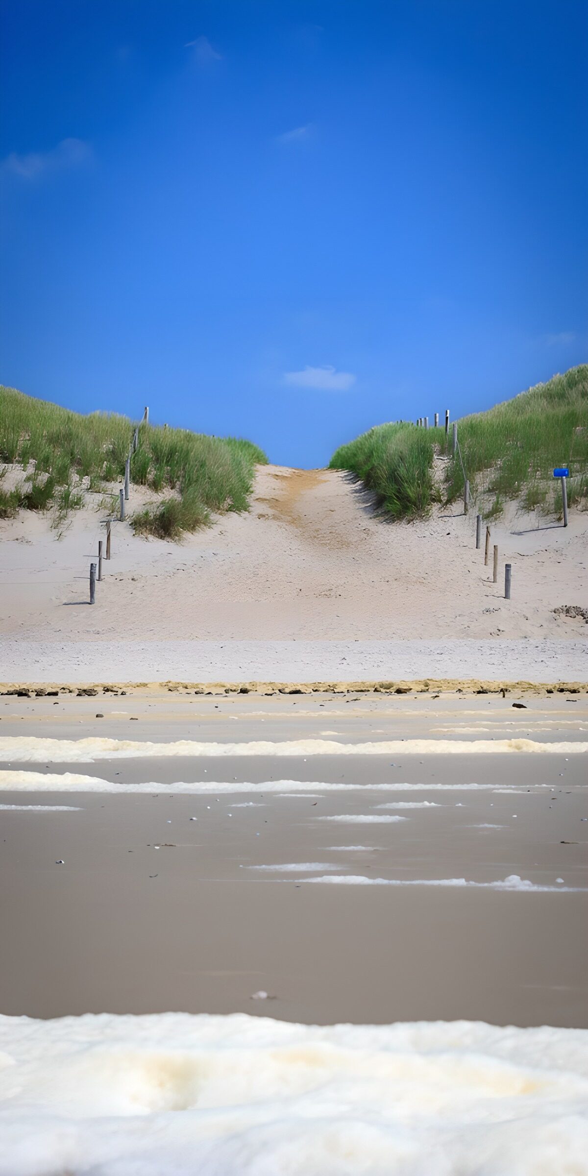 CW1616596: Naar het strand door de duinen