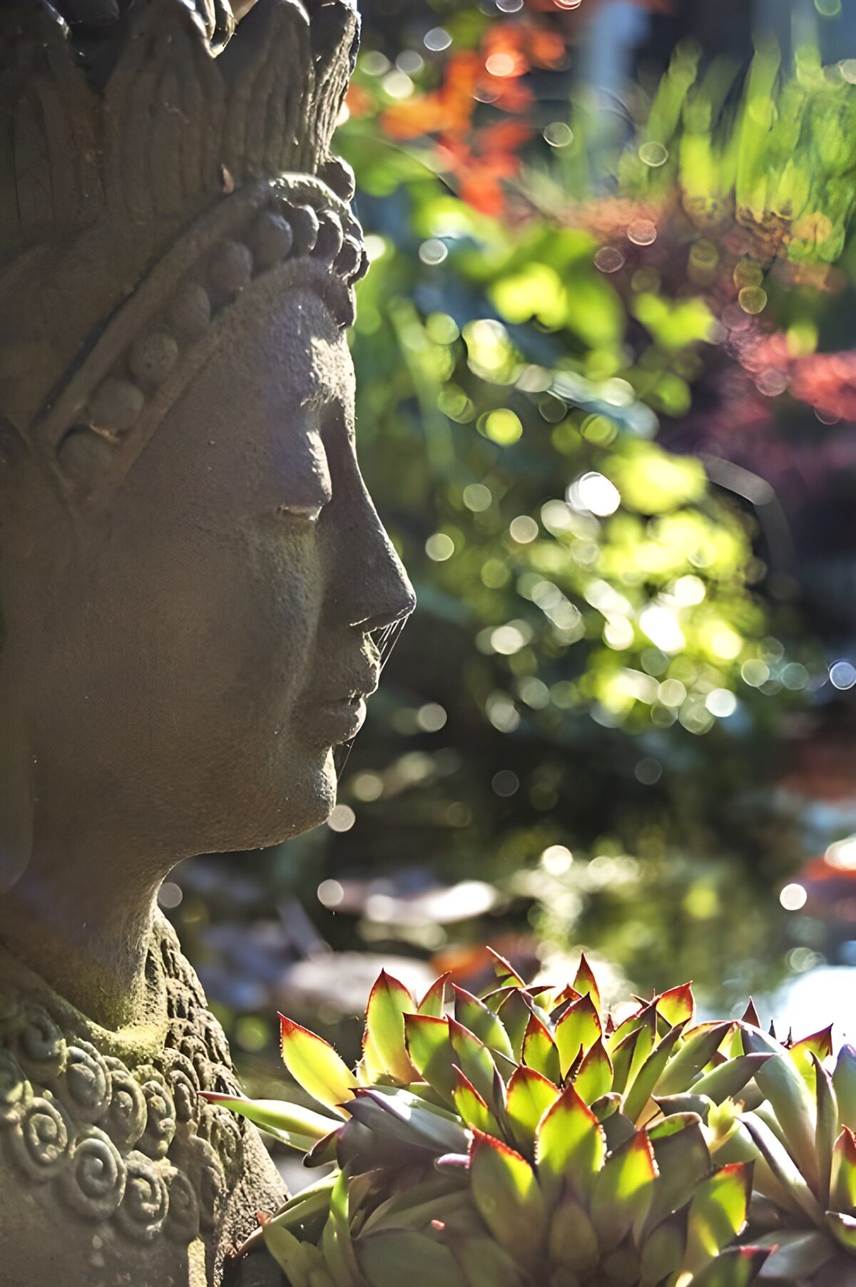 CW8895734: Meditatieve Buste in Groene Oase