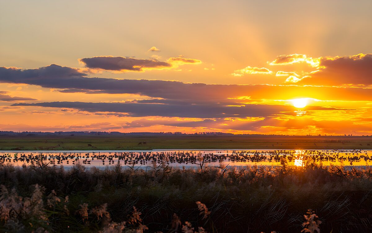 Prachtige zonsondergang boven het landschap