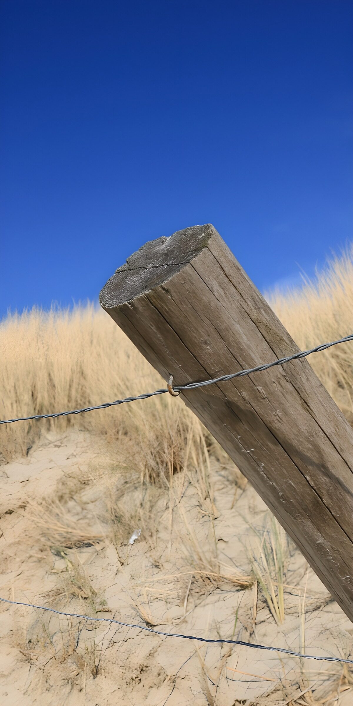 CW2106239: Houten paal met prikkeldraad