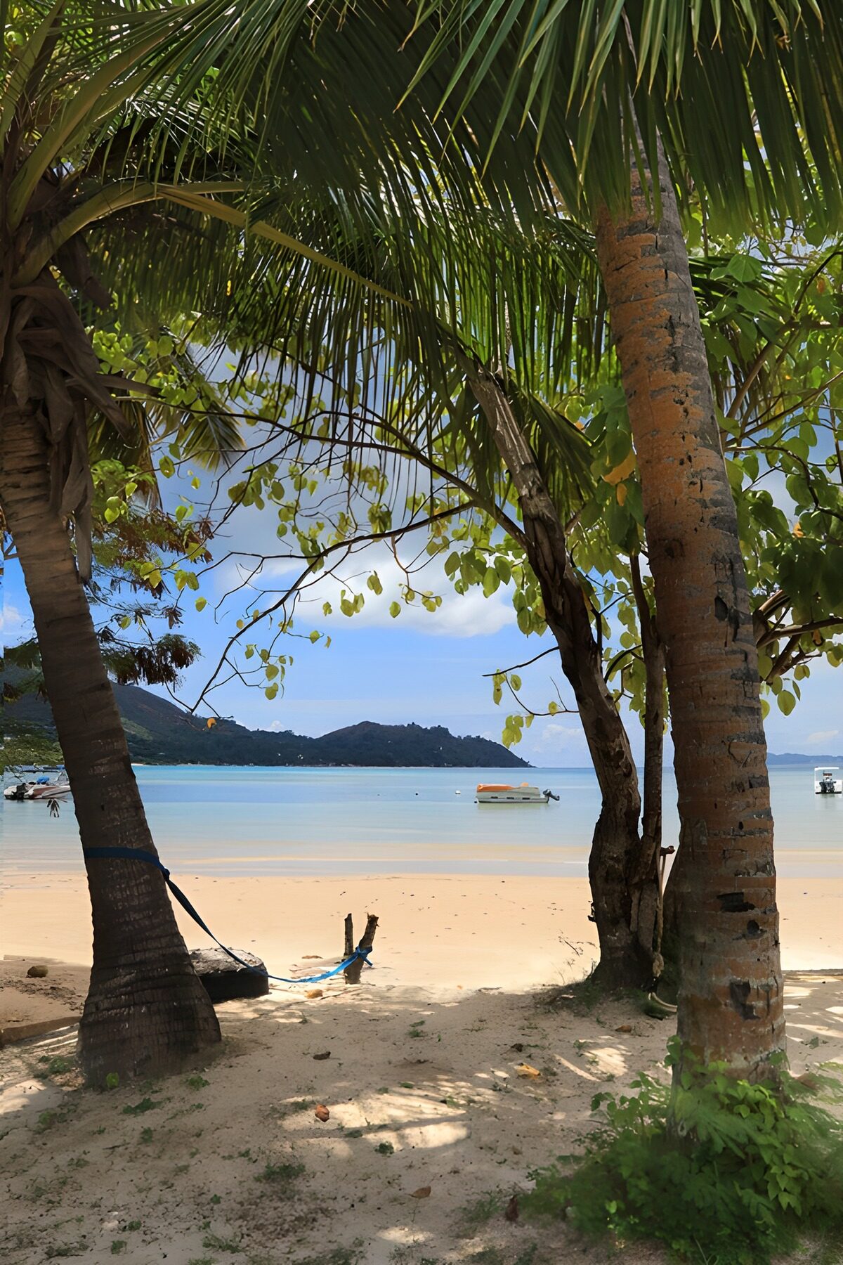 Tropisch uitzicht op een rustig strand