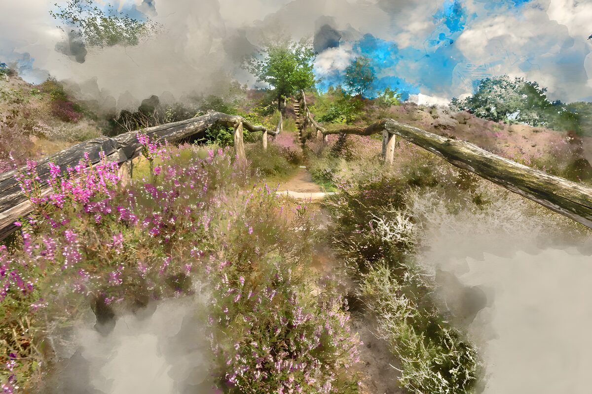 Prachtige Lentedijk in de Natuur