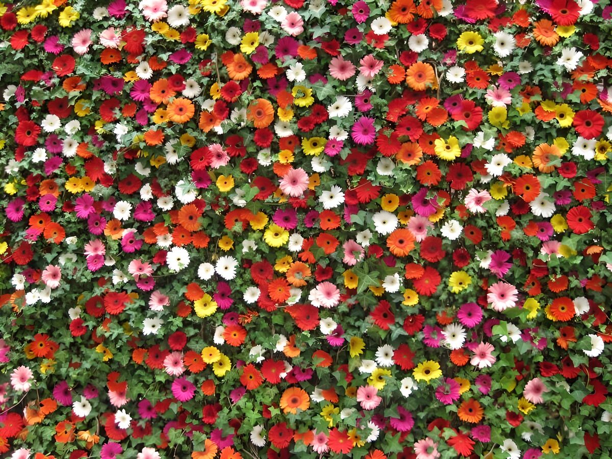 Kleurrijke bloemenwand vol leven