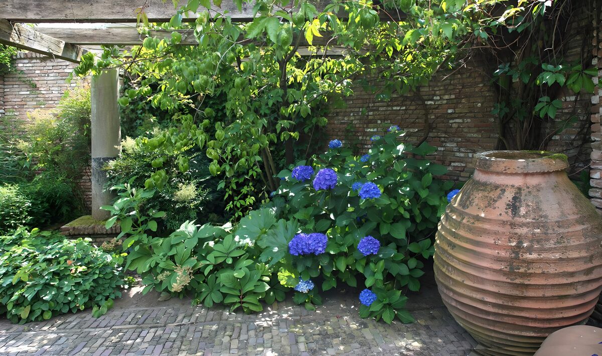 CW9052368: Prachtige tuin met hortensia's