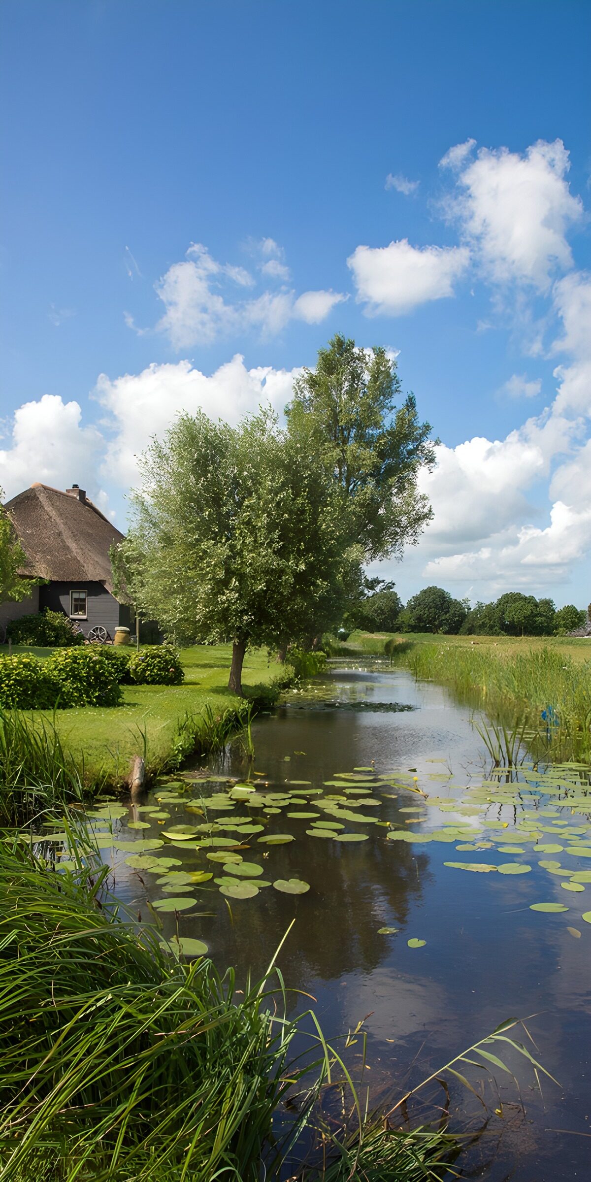 CW4635226: Rustig Plattelandslandschap met Water
