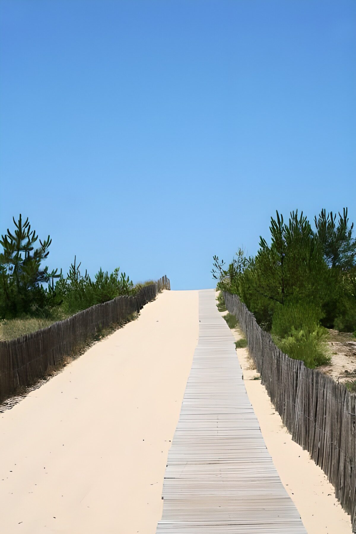 Zandpad naar de duinen onder een blauwe lucht