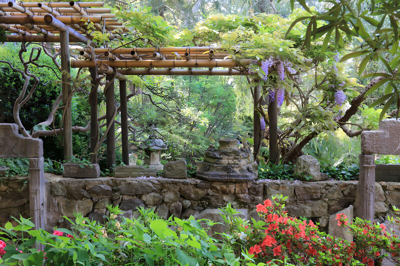 CW3338432: Prachtige Japanse tuin met bloeiende planten