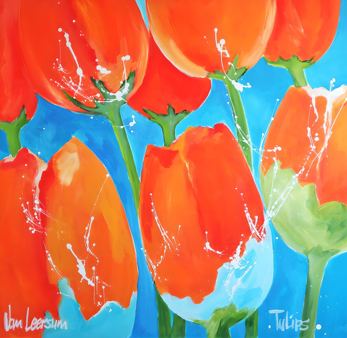 Vuurige Tulpen in Bloei