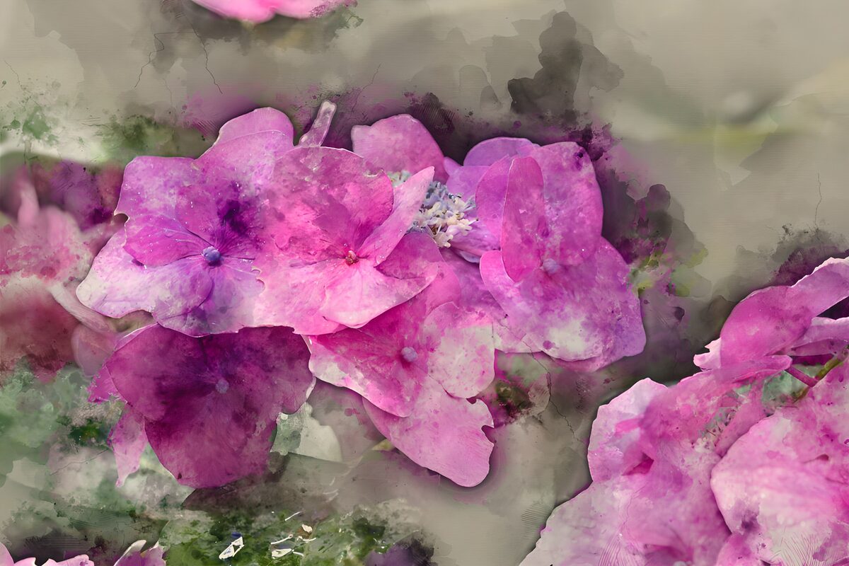 Prachtige roze bloemen in aquarelstijl