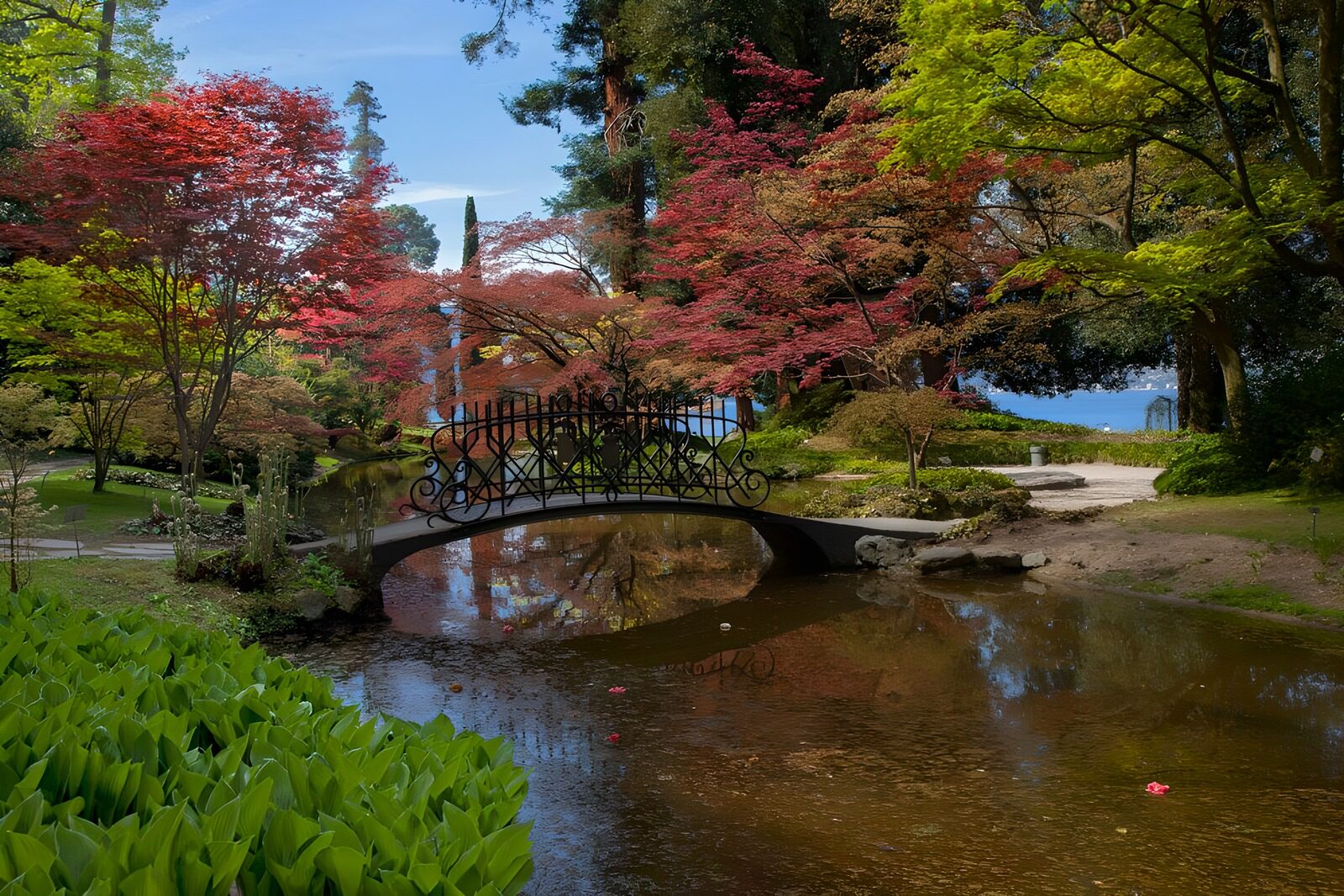 CW7828783: Betoverende tuin met brug en vijver