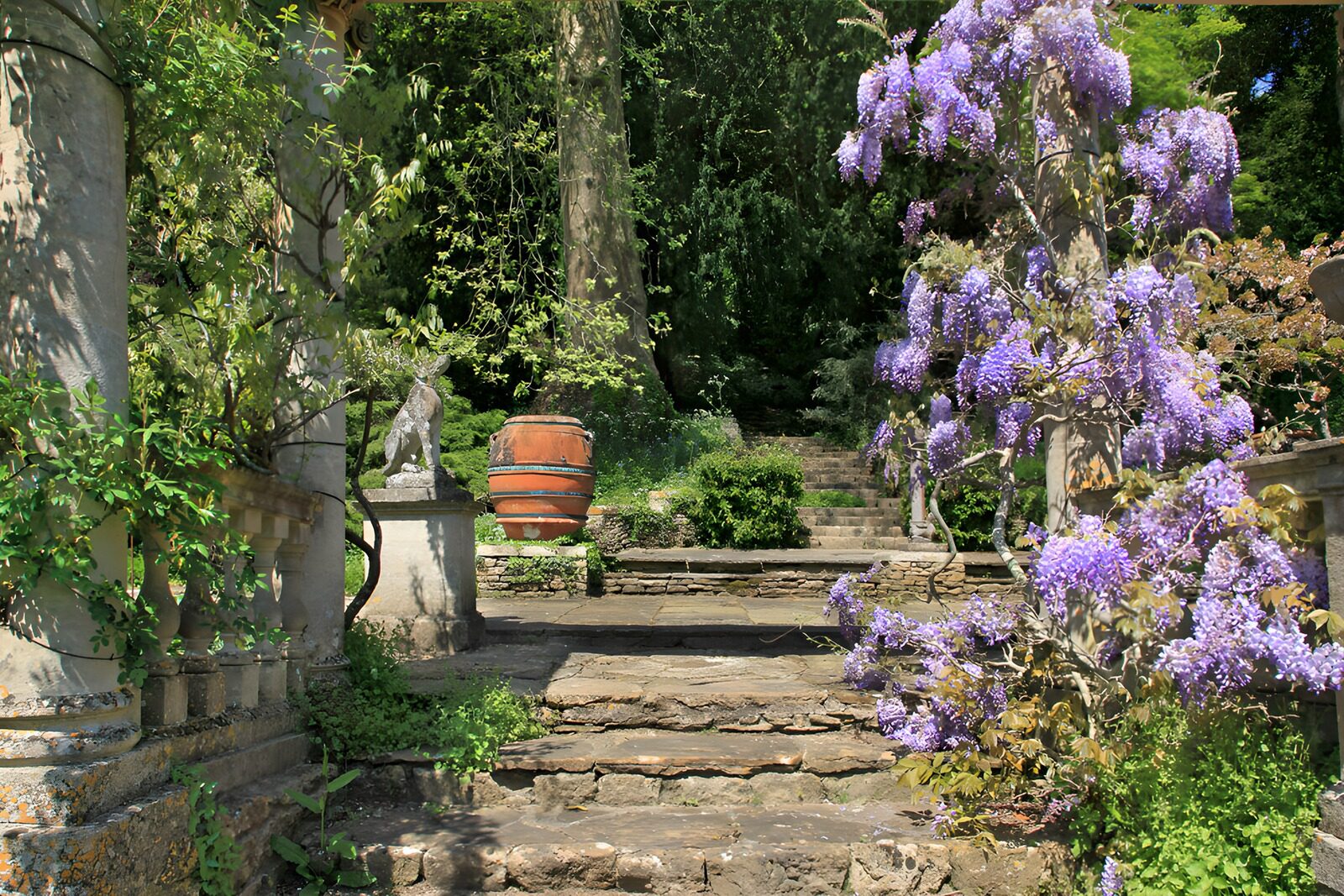 CW7479329: Prachtige Tuin met Bloeiende Wisteria