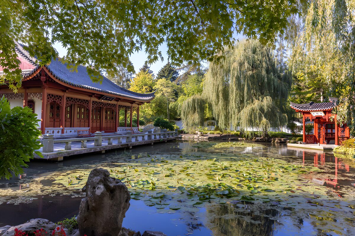Rustige Chinese Tuin met Vijver