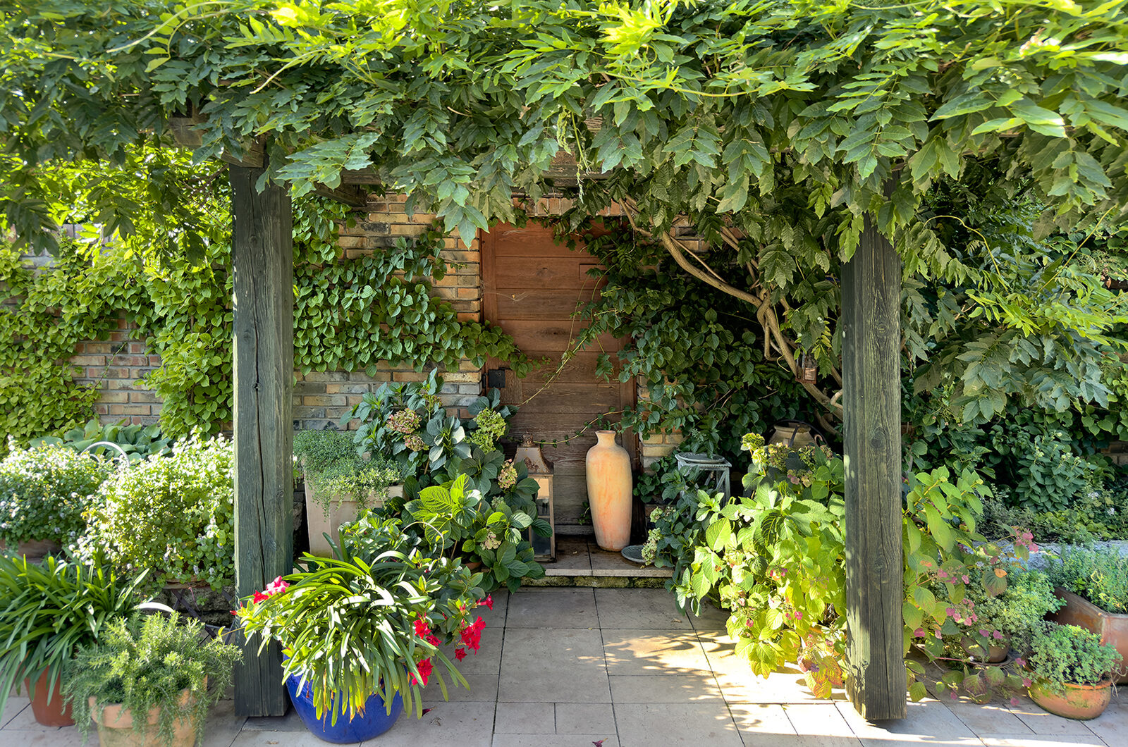 CW2582143: Weelderige tuin met pergola