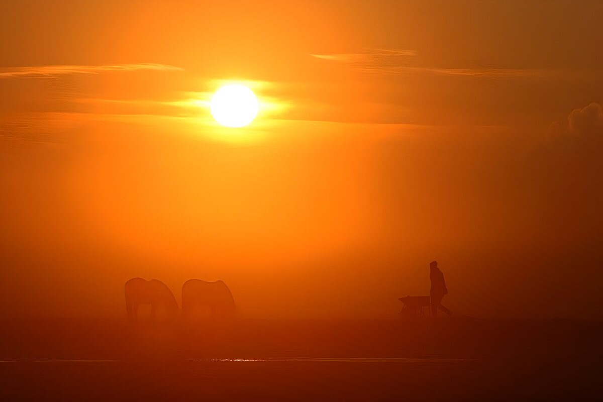 Paarden en mens bij zonsondergang